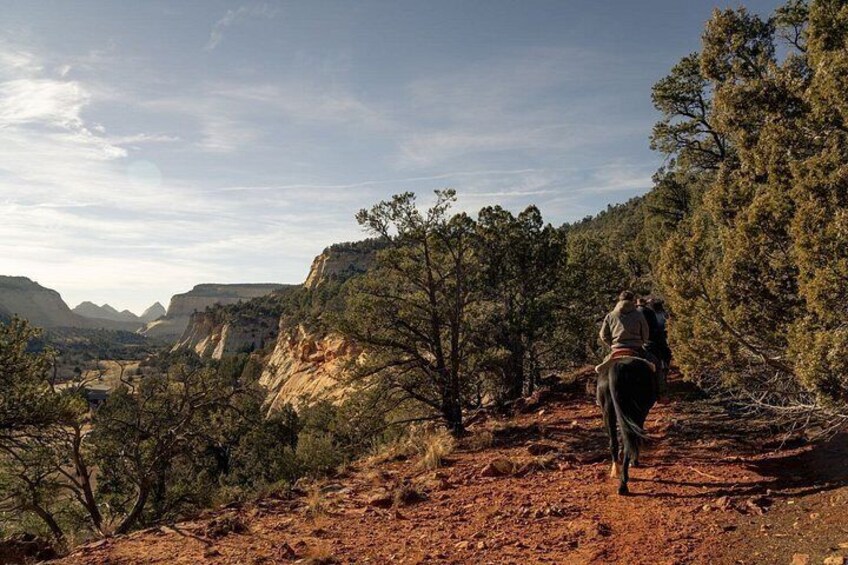 A person riding a horse on a dirt trail surrounded by trees and rocky terrain. 5