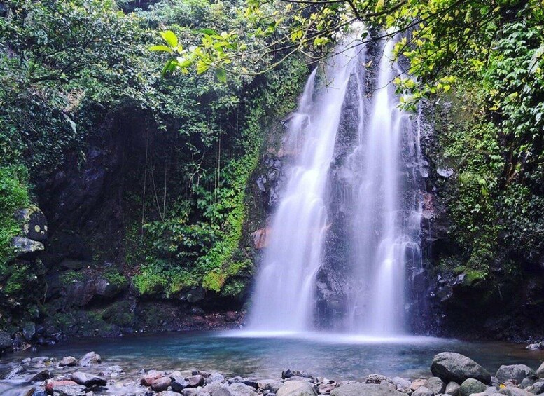 Picture 2 for Activity From Jakarta: Gunung Salak Waterfall & Rice Terrace 3