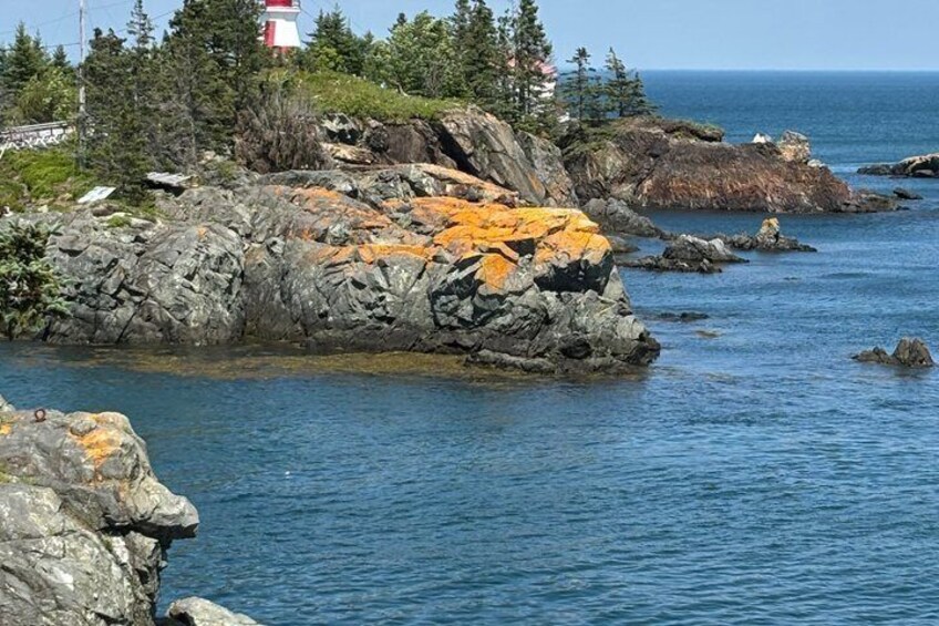 Campobello Island Downeast Maine and Acadia Private Driving Tour 4