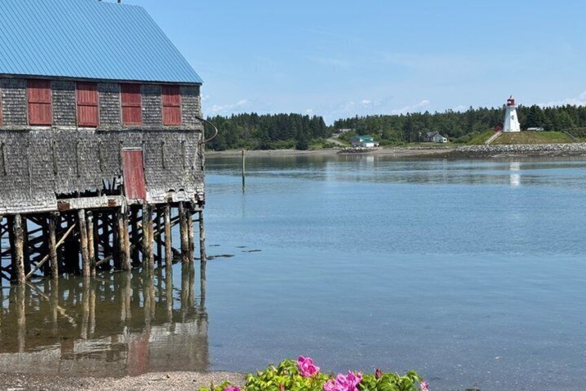 Campobello Island Downeast Maine and Acadia Private Driving Tour 1