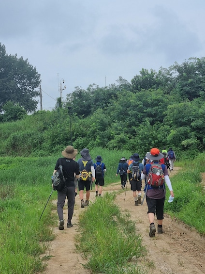 A group of hikers walking on a dirt path surrounded by greenery. 5