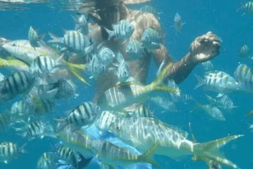 Picture 6 for Activity Private Puerto Plata & Cayo Arena Coastal Catamaran Cruise 3