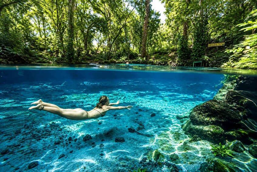 Picture 11 for Activity From Managua & Granada: Ometepe Island Volcanoes Day Sightseeing Tour ⭐⭐ ⭐⭐⭐ 1