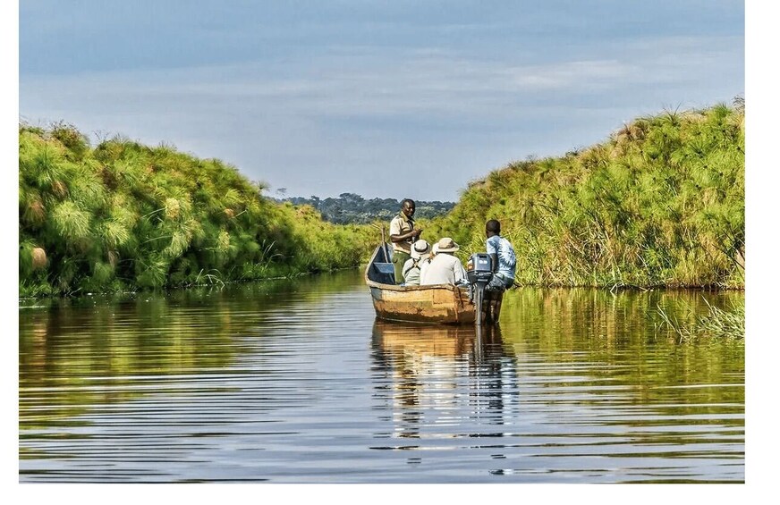 Picture 1 for Activity Mabamba Swamp Birding Tour with Shoebill Stork 3