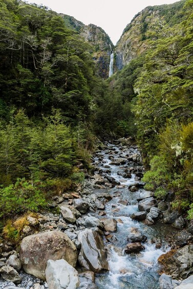 Picture 10 for Activity Arthur's Pass Day Tour with Jet Boat and TranzAlpine 2