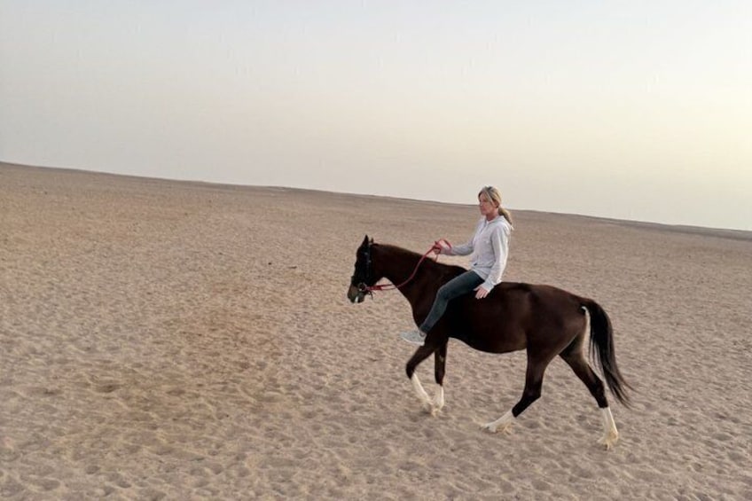 A person riding a horse on a sandy beach. 3