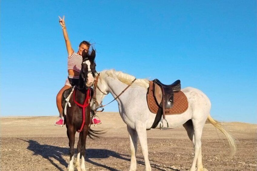 A person riding a horse in a desert landscape. 4