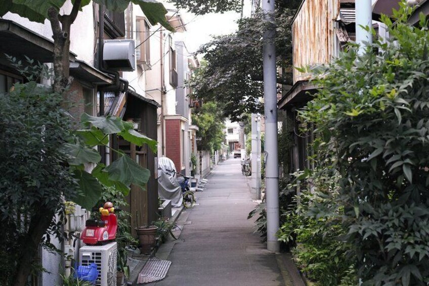 2 Hours Yanaka Retro Backstreets Walking tour 5