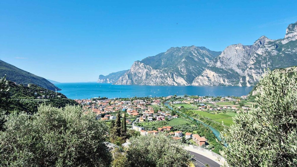 Picture 2 for Activity Beginner Windsurfing Experience Lake Garda 2
