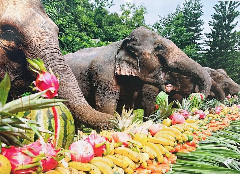 Xishuangbanna: 5-Day Private Tour with Airport Transfer 1
