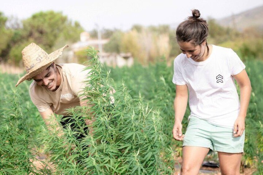 Visit to Mallorca Agricultural Estate with Local Tasting 1