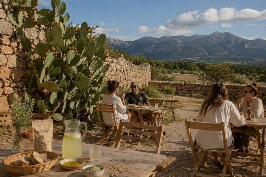 Visit to Mallorca Agricultural Estate with Local Tasting 3