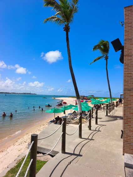 A beach with palm trees, umbrellas, and people swimming. 1