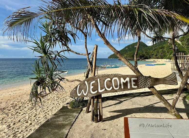 A beach with a 'WELCOME' sign, palm trees, and a clear view of the ocean. 4