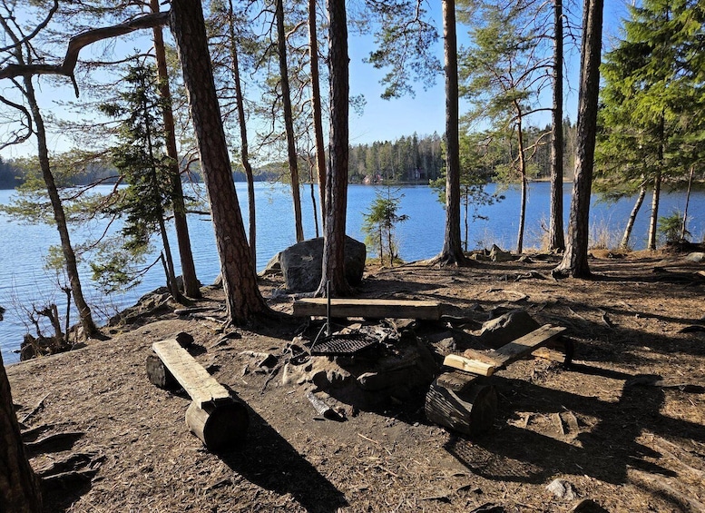 A lakeside campsite with trees, a fire pit, and a wooden bench. 1