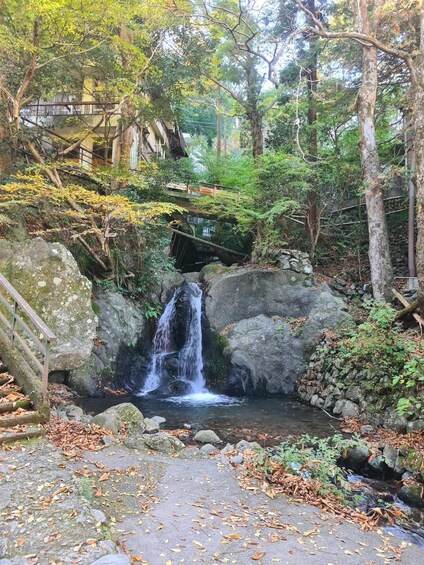Picture 1 for Activity Escape from the metropolis into the nature of Tokyo: 5 hours of trekking in Okutama 2