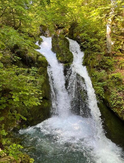 Picture 4 for Activity Gusinje: Grebaje, Grlja & Ali Pasha Springs Tour 3