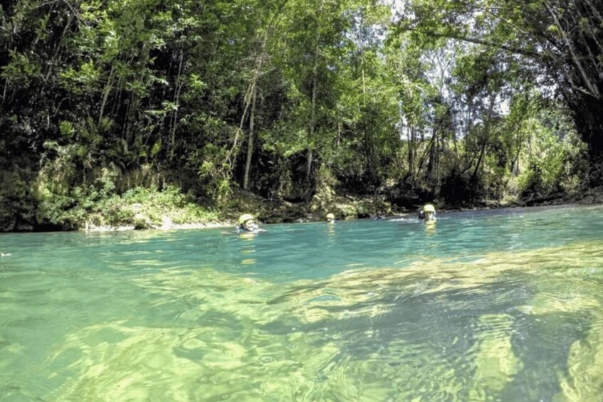 Picture 6 for Activity Private Las Caobas Jungle River Adventure 3