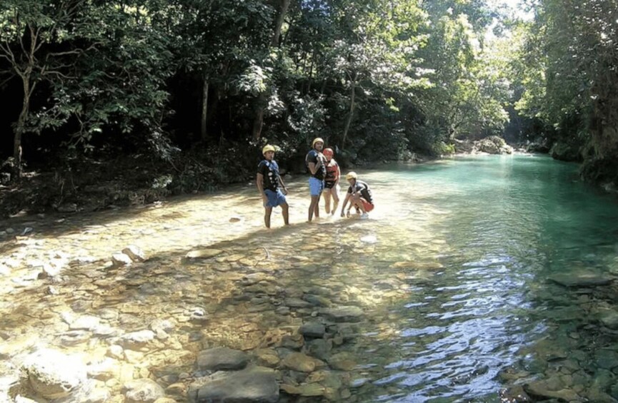 Picture 5 for Activity Private Las Caobas Jungle River Adventure 4
