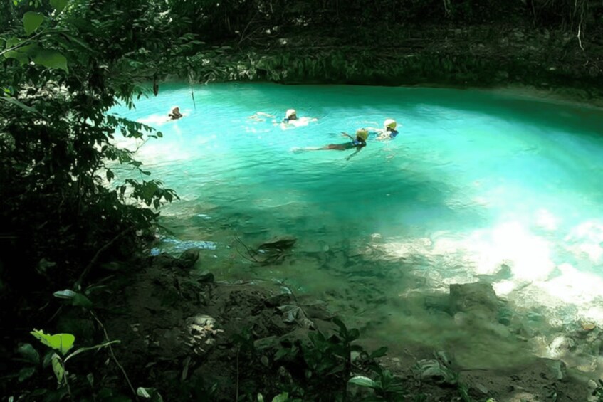 Picture 2 for Activity Private Las Caobas Jungle River Adventure 2