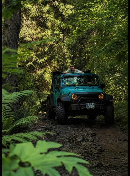 A green off-road vehicle driving through a forested area with a person leaning out of the window. 3
