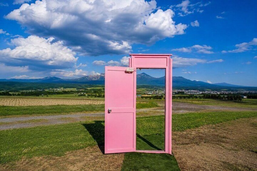 A pink metal structure in an open field with a mountain range in the background. 2