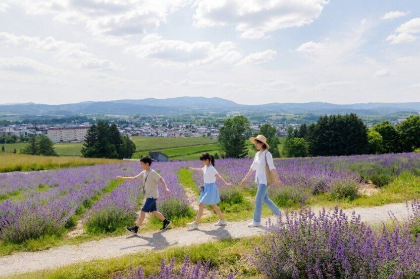 A family walking on a path through a lavender field with a view of a town and mountains in the background. 1