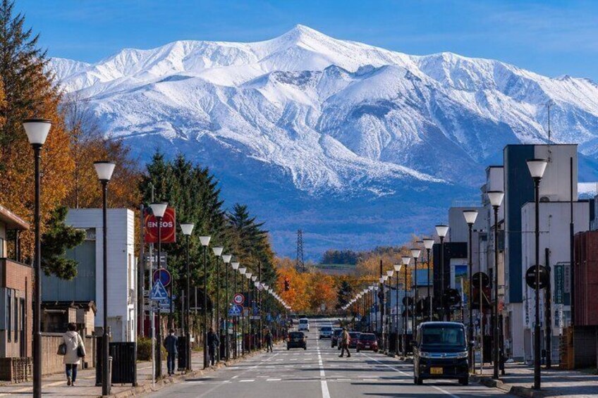 A snow-covered mountain range in the background, a street lined with trees and street lamps, and a clear blue sky. 4