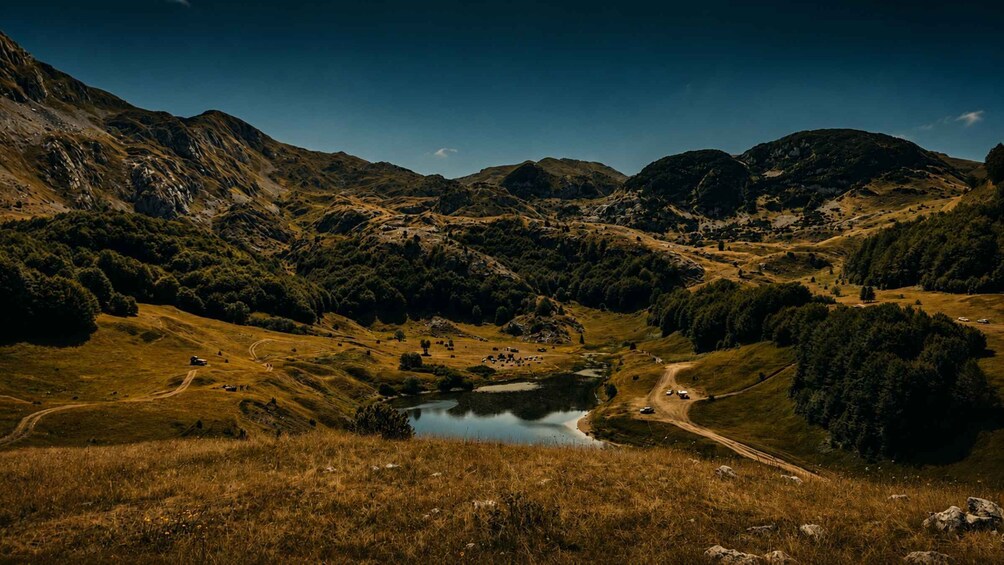 A mountainous landscape with a lake, winding roads, and scattered trees. 2