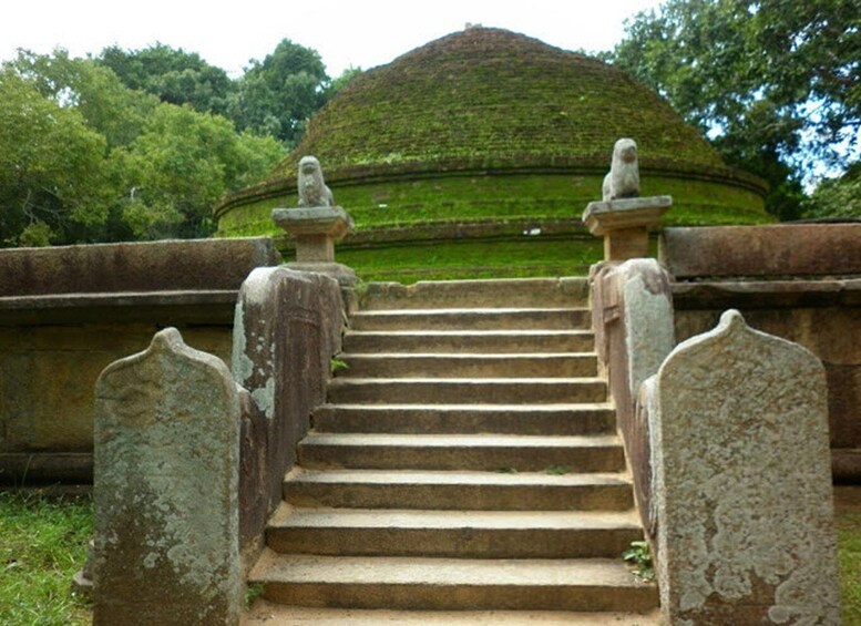 Picture 4 for Activity From Tissamaharama To Arugam Bay Nature & Heritage Tour 2