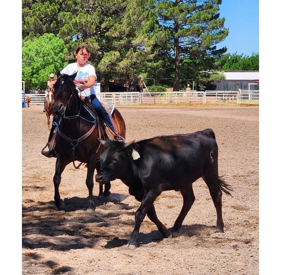 Picture 1 for Activity La Mesa: 1-Hour Western Horse Riding Lesson 1