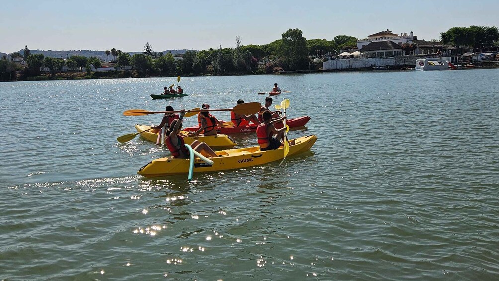 Picture 5 for Activity Cádiz: 1.5-Hour Kayak Rental 5