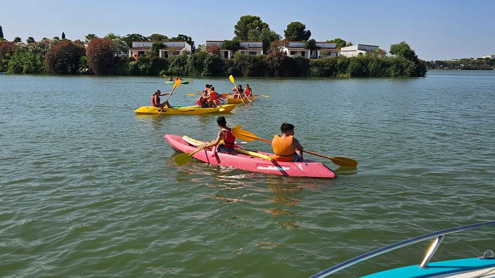Picture 4 for Activity Cádiz: 1.5-Hour Kayak Rental 4