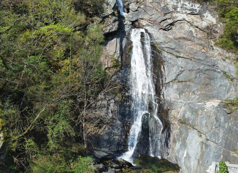 A waterfall cascading down a rocky cliff surrounded by dense greenery. 5