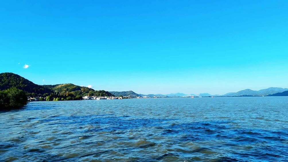 Ningbo: Tea Gardens & Dongqian Lake Private Day Trip 1