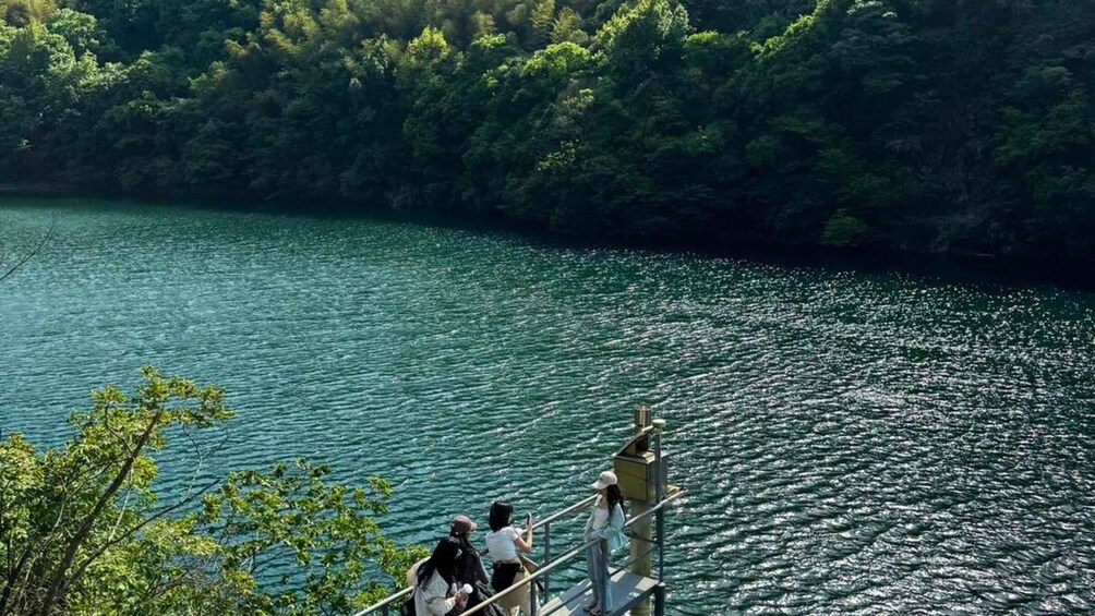 Picture 2 for Activity Ningbo: Tea Gardens & Dongqian Lake Private Day Trip 4