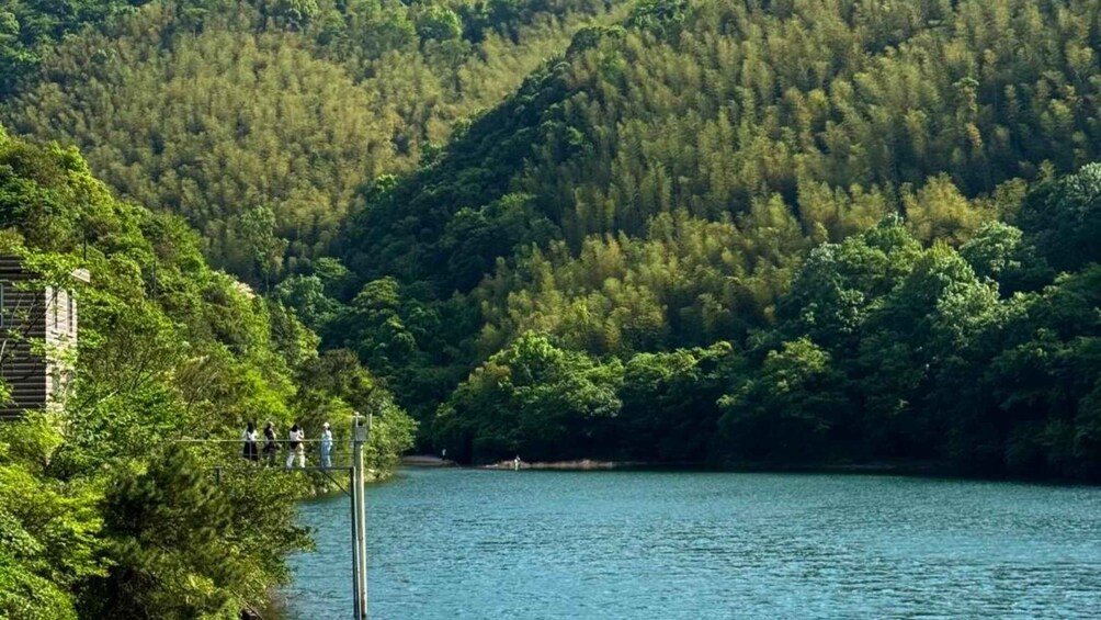 Picture 1 for Activity Ningbo: Tea Gardens & Dongqian Lake Private Day Trip 3