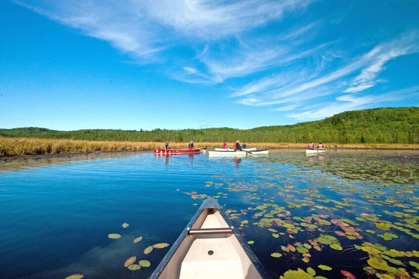 Oxtongue Lake: Ragged Falls Kayak Rental 1