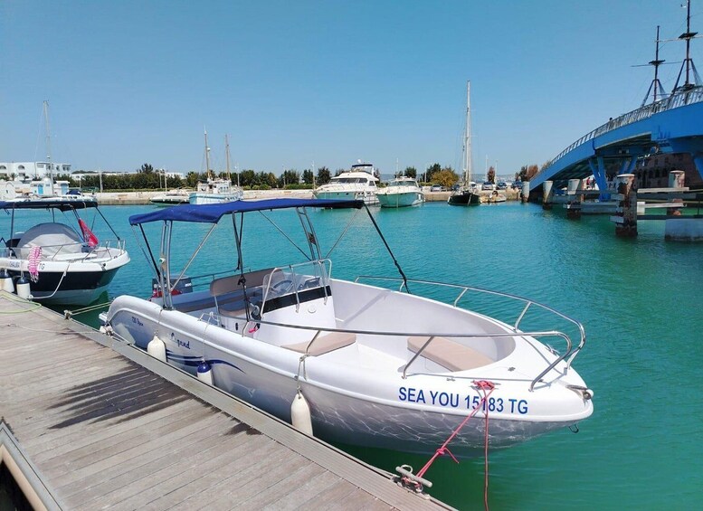 A marina with several boats docked, a wooden pier, and a bridge in the background. 1