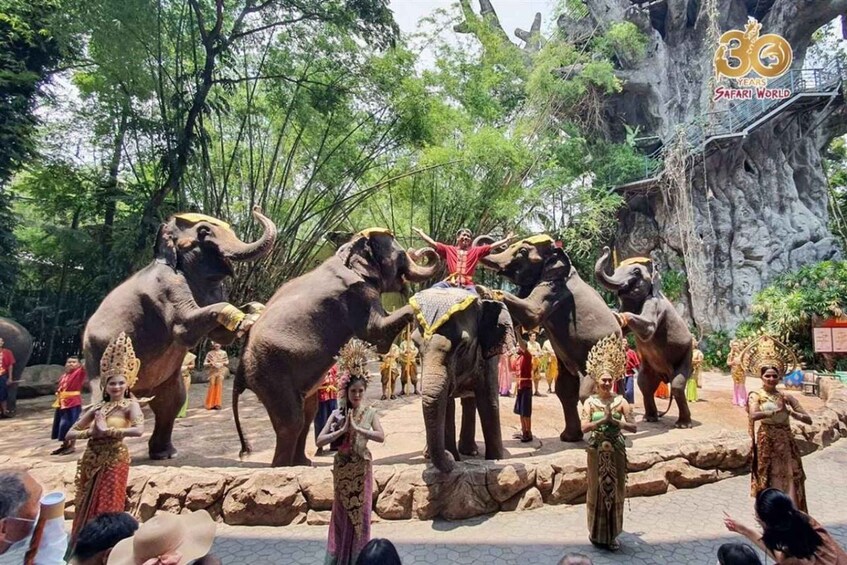 Picture 4 for Activity Bangkok Conservation Reserve & Marine Discovery Pass 3