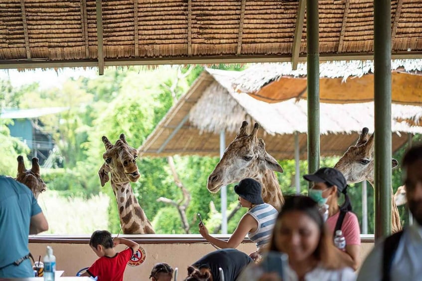 Bangkok Conservation Reserve & Marine Discovery Pass 1