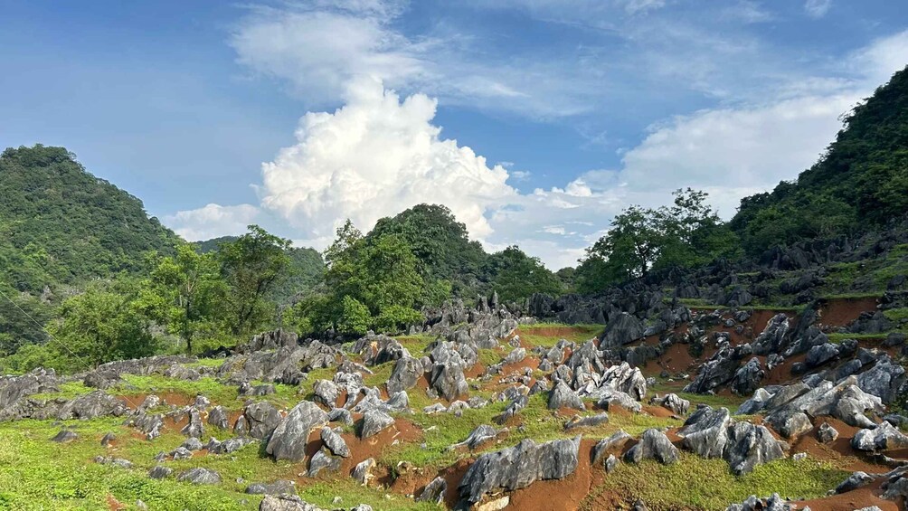 A rocky landscape with scattered boulders and green vegetation under a partly cloudy sky. 1
