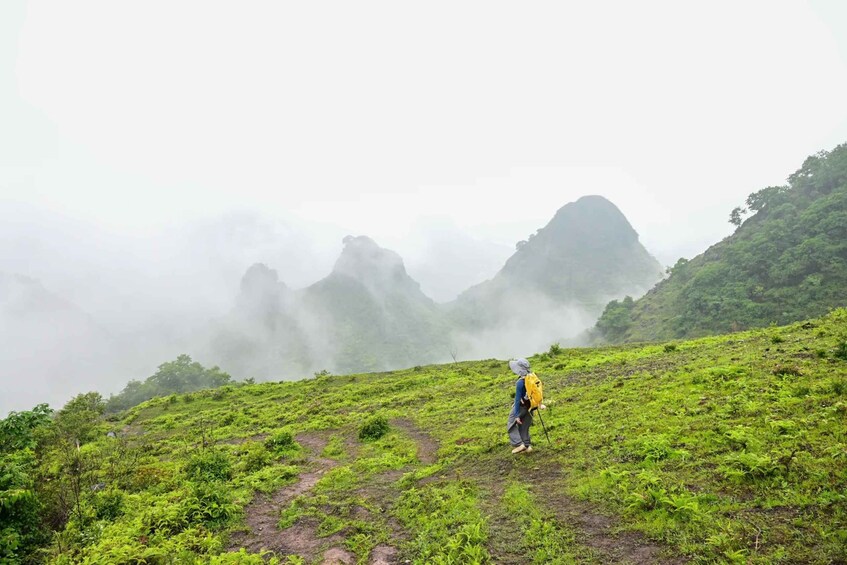 A hiker on a green, mist-covered mountain trail. 5