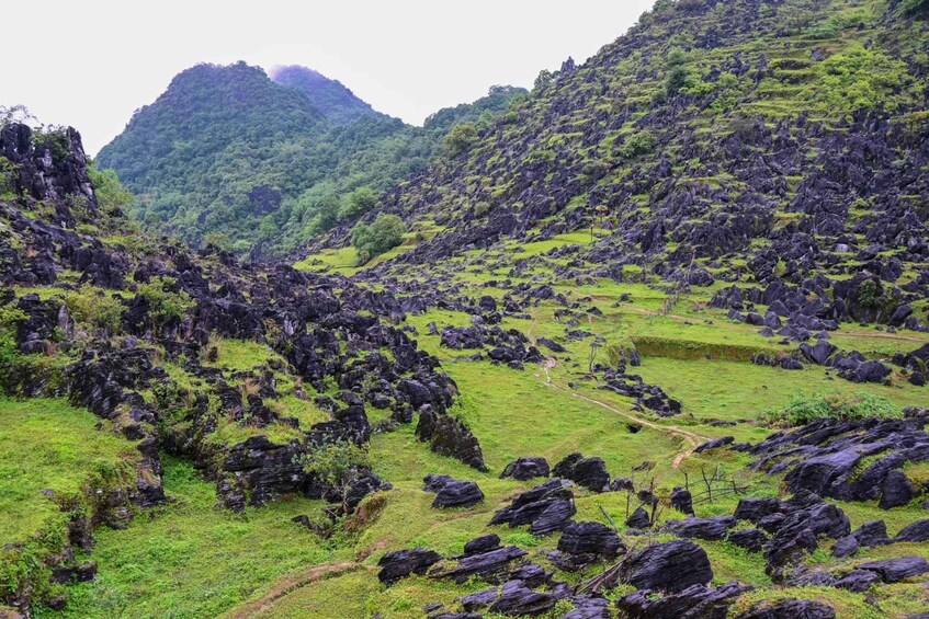 A mountainous landscape with green vegetation and scattered rocks. 4