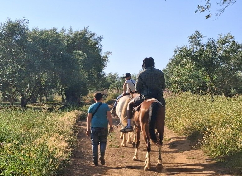 A dirt path with people riding horses. 3