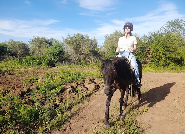 A person riding a horse on a dirt path with greenery and trees in the background. 2
