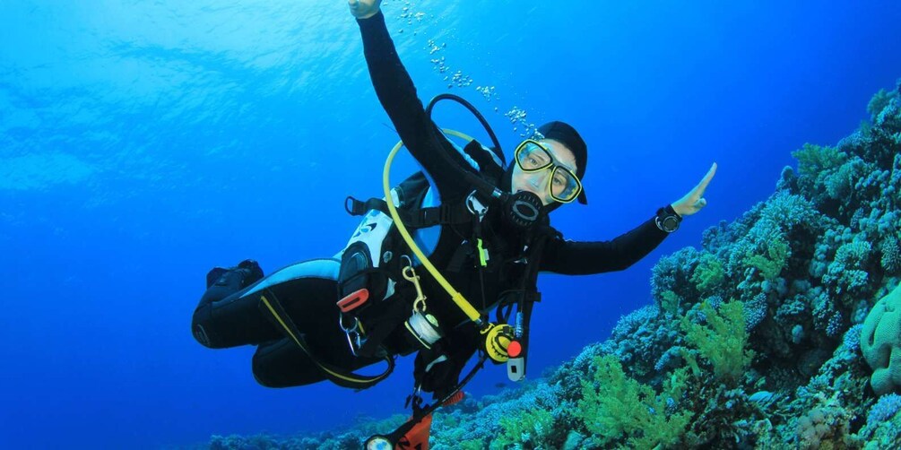 Darwin Bay and Carawa: Scuba diving without certification with gear in the Galapagos 1
