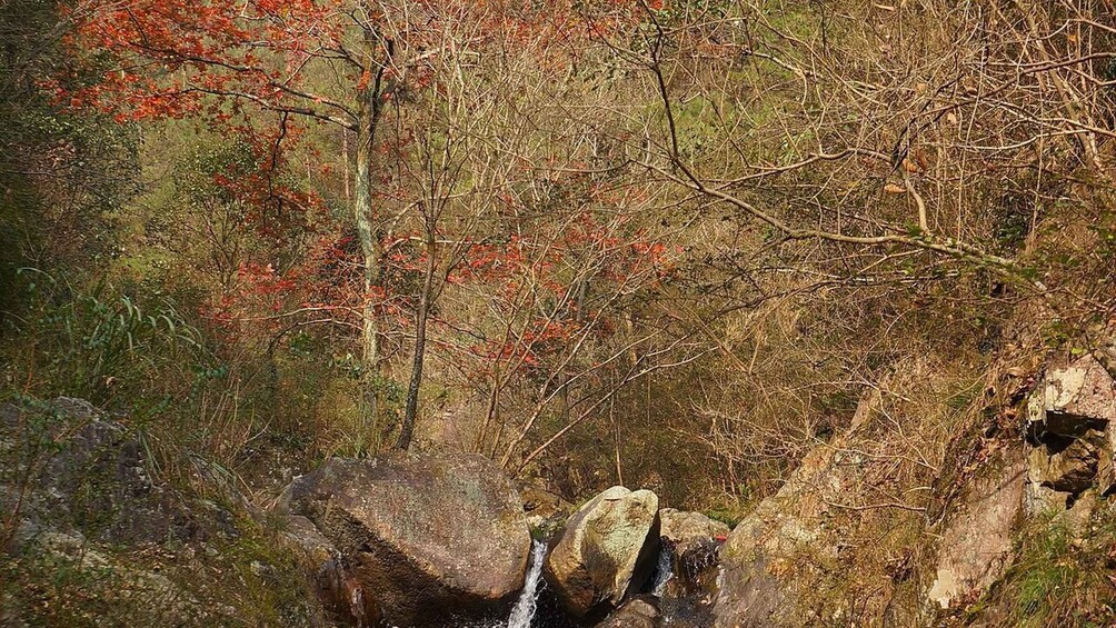 Picture 3 for Activity Wuxi: Longmen Valley Streams & Weir Private Day Trip 2