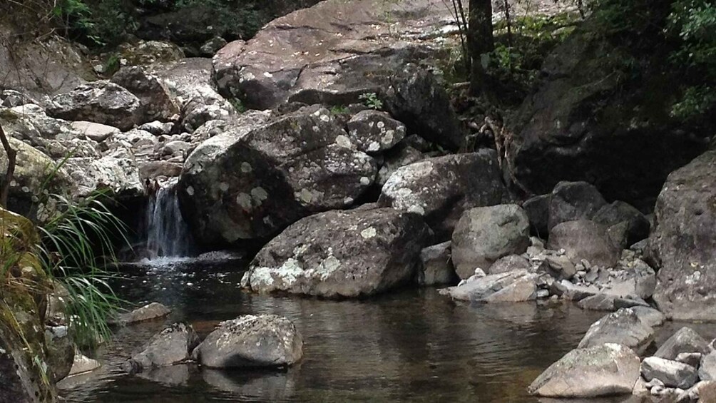 Wuxi: Longmen Valley Streams & Weir Private Day Trip 1