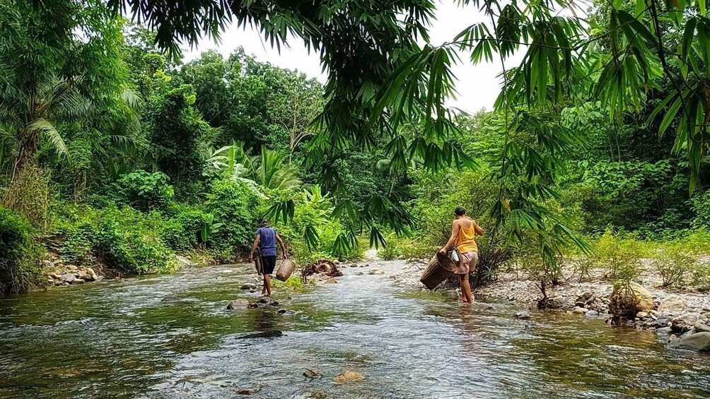 Two people crossing a river in a lush, green forest. 2